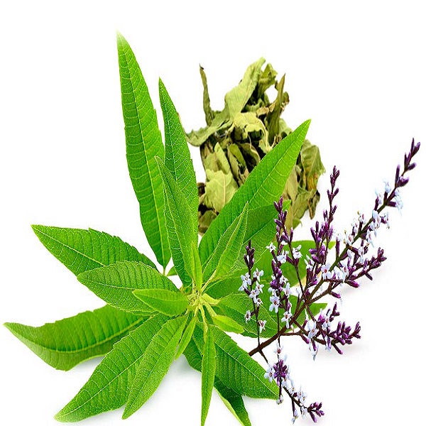 زادگاه و منشاء گیاه به لیمو